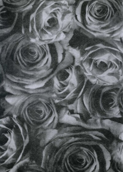 Backing Paper A4 - Black Rose Montage (Large)
